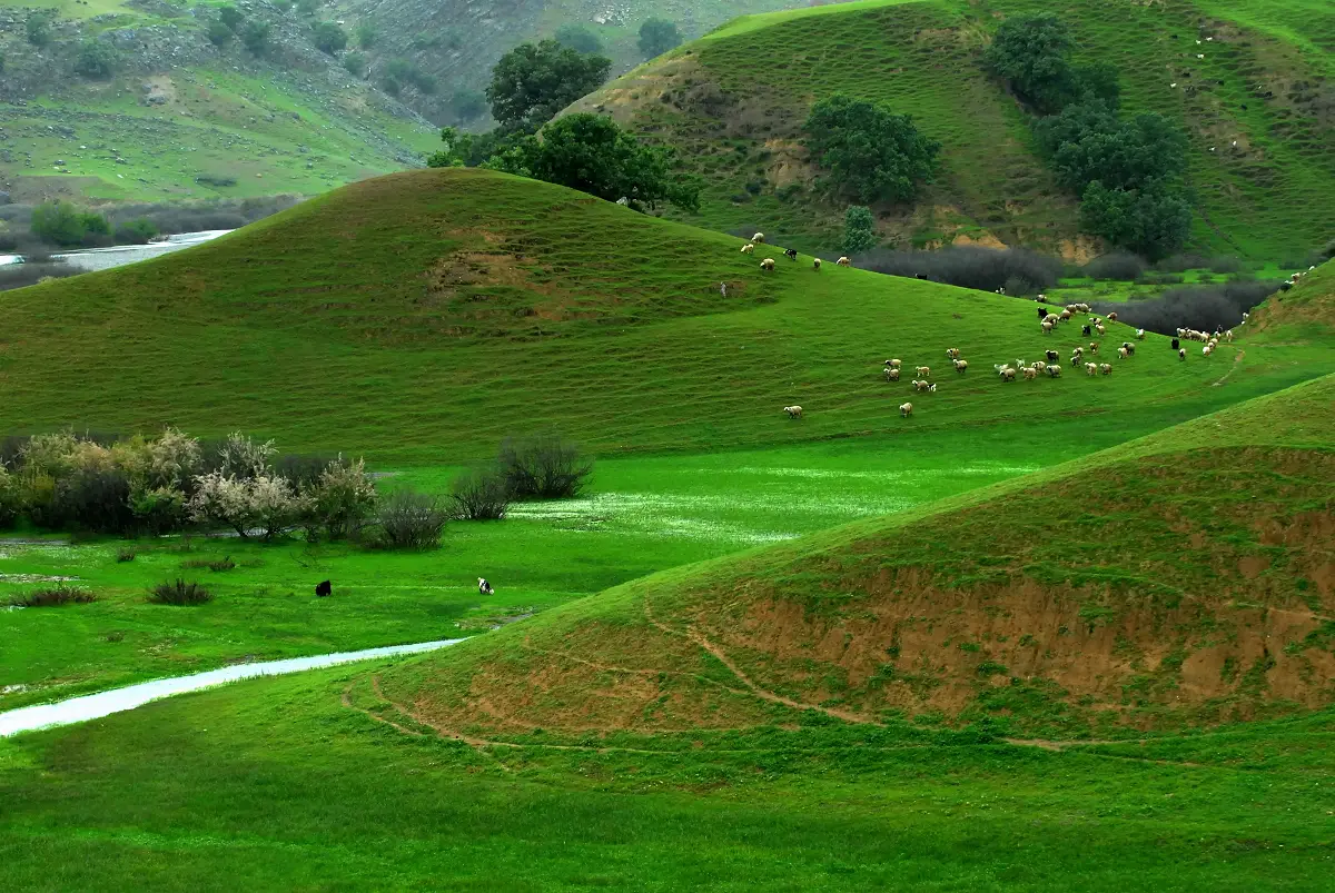 تولیدی میز تلویزیون در شهرکرد